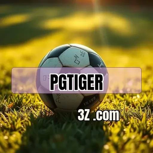 Recursos da Seção Card do pgtiger para Jogadores
